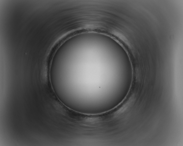 X0000089831021200706281208