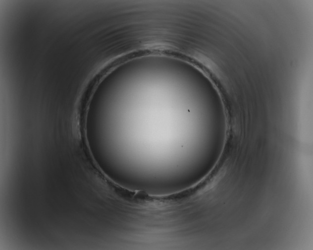 X0000089831022200706281208