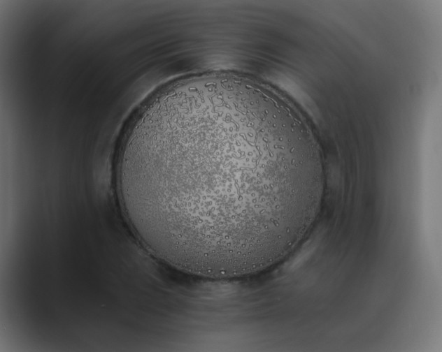 X0000089831023200706281208