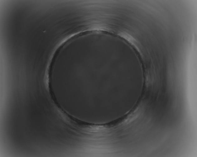 X0000089831024200706281208