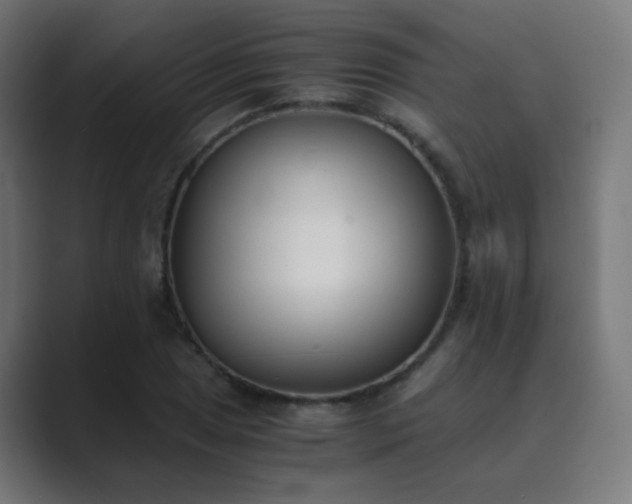 X0000089831025200706281208
