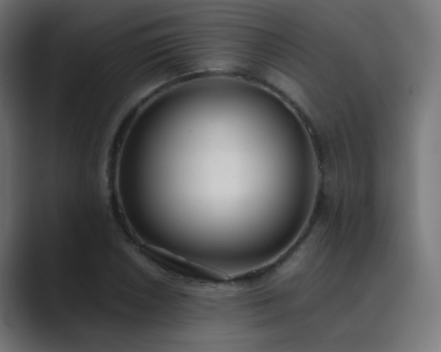 X0000089831026200706281208