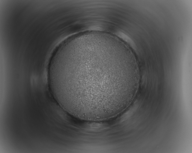 X0000089831027200706281208