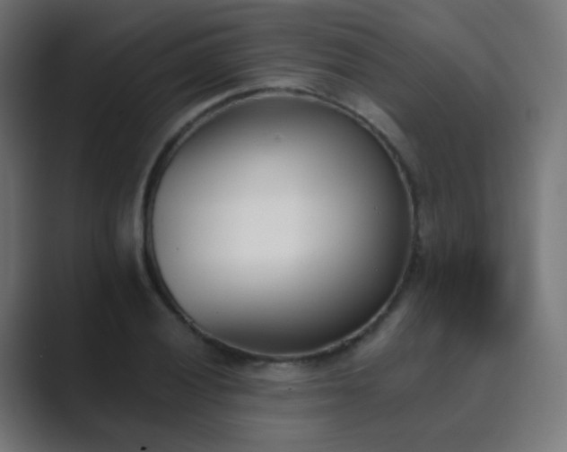X0000089831028200706281208