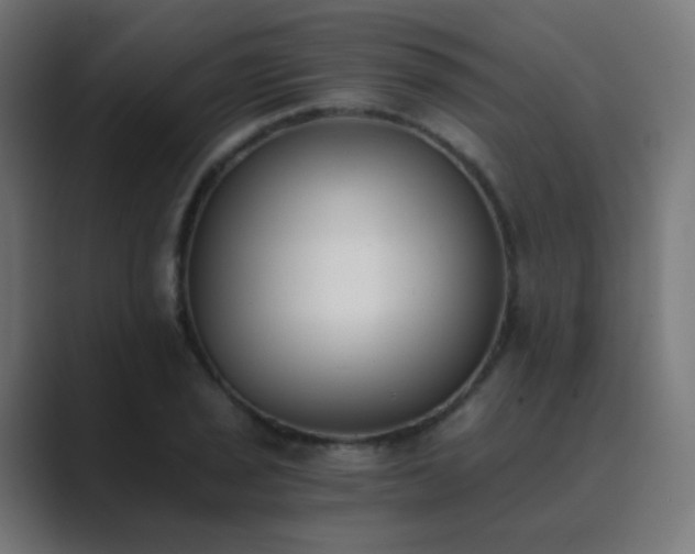 X0000089831029200706281208