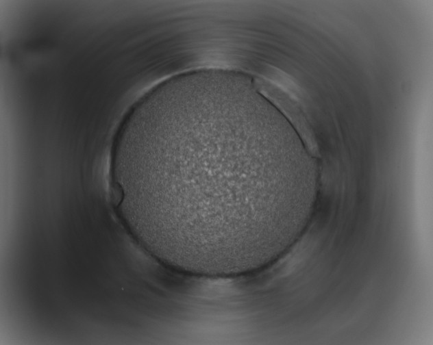 X0000089831030200706281208