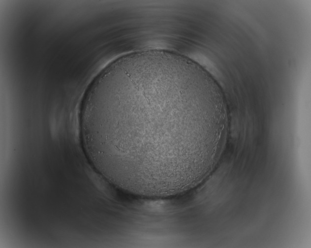 X0000089831031200706281208