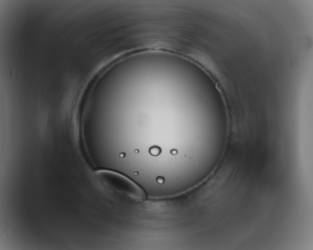 X0000089831032200706281208