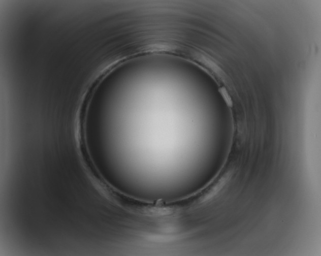 X0000089831034200706281208