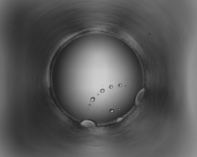 X0000089831036200706281208