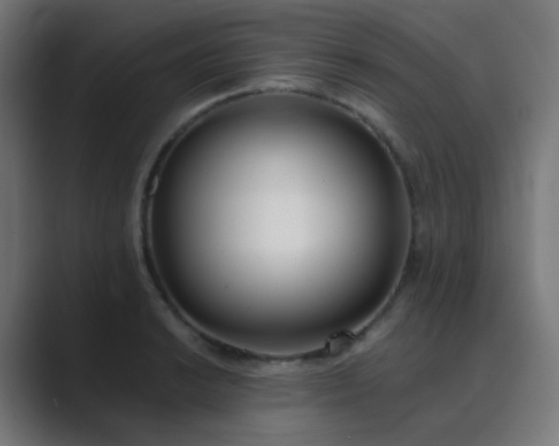 X0000089831038200706281208
