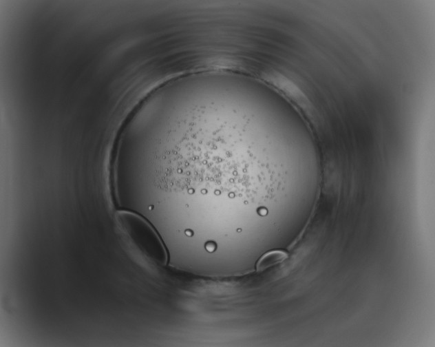 X0000089831039200706281208