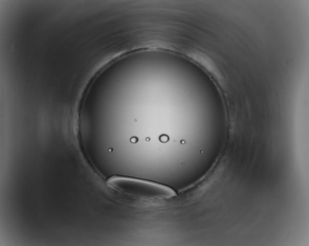 X0000089831040200706281208