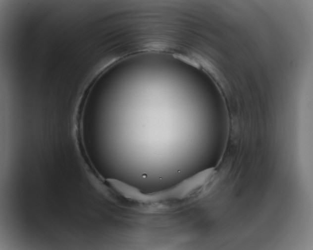 X0000089831042200706281208