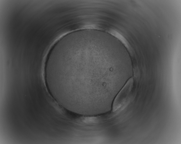 X0000089831043200706281208
