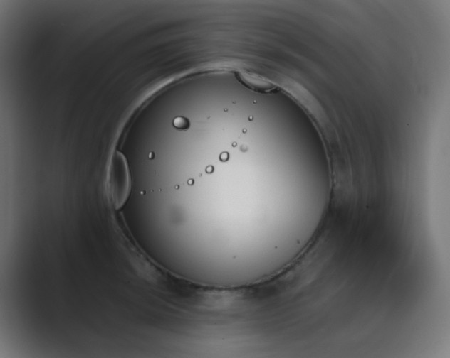 X0000089831044200706281208