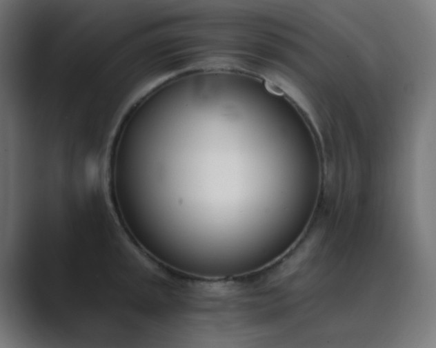 X0000089831045200706281208
