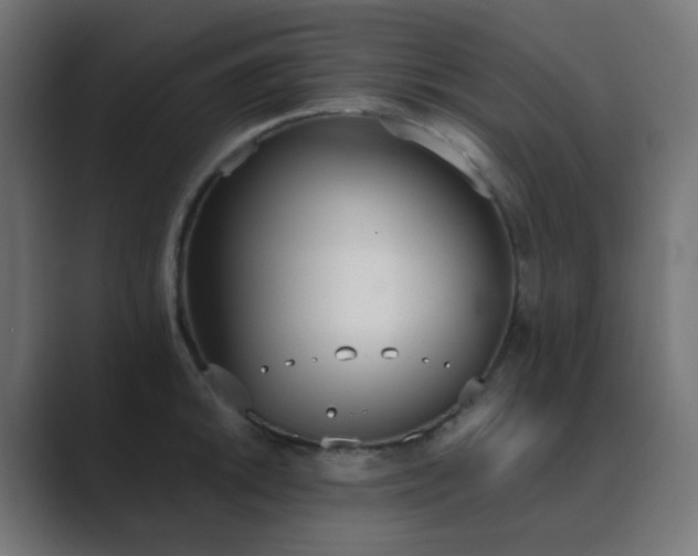 X0000089831046200706281208