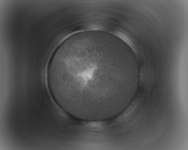 X0000089831047200706281208