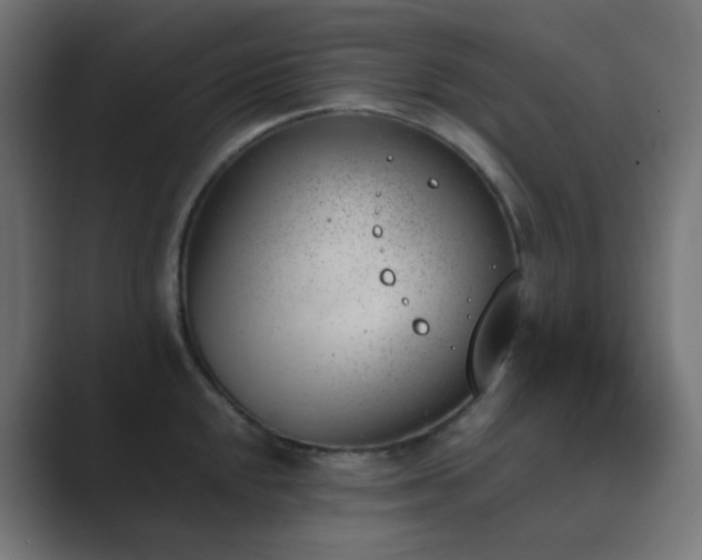 X0000089831048200706281208