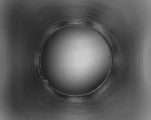 X0000089831049200706281208