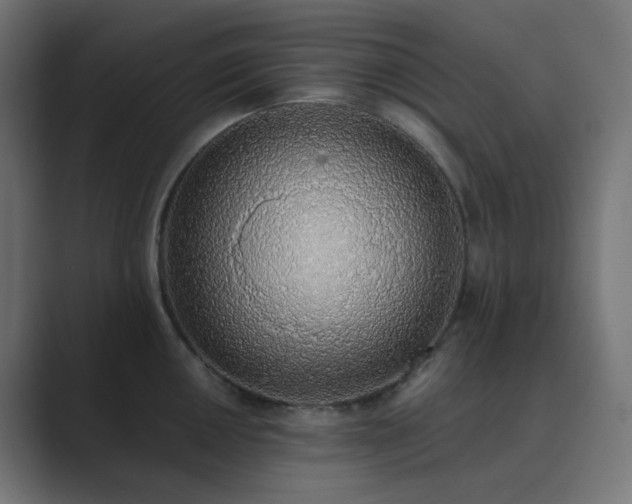 X0000089831050200706281208