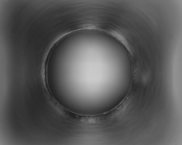 X0000089831051200706281208