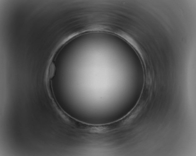 X0000089831053200706281208