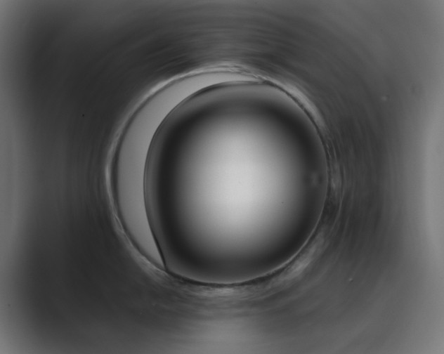 X0000089831054200706281208