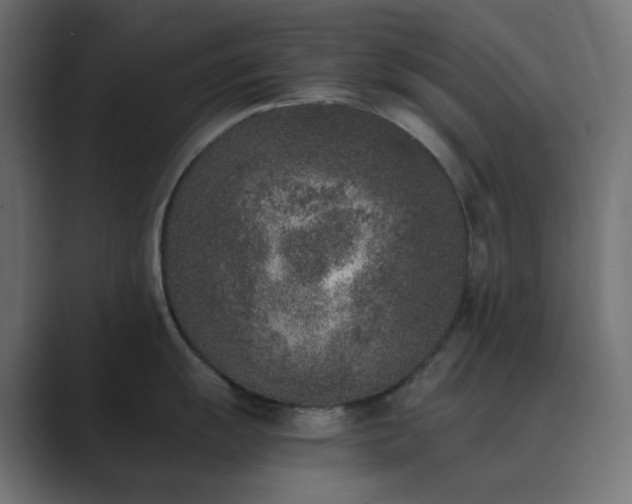 X0000089831055200706281208