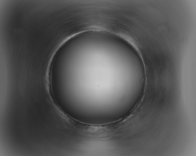 X0000089831056200706281208