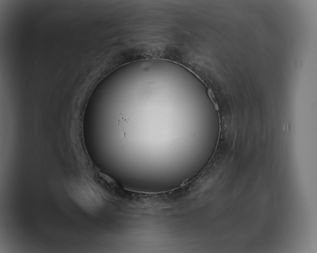 X0000089831057200706281207