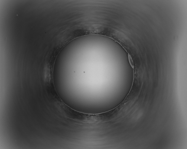X0000089831058200706281207