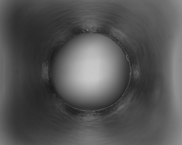 X0000089831060200706281207