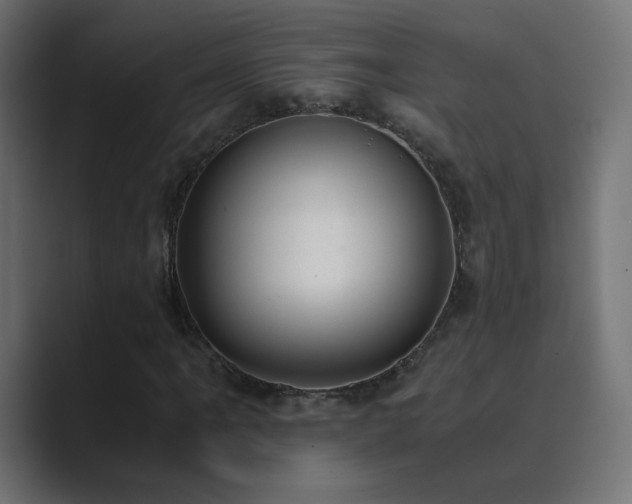X0000089831061200706281207