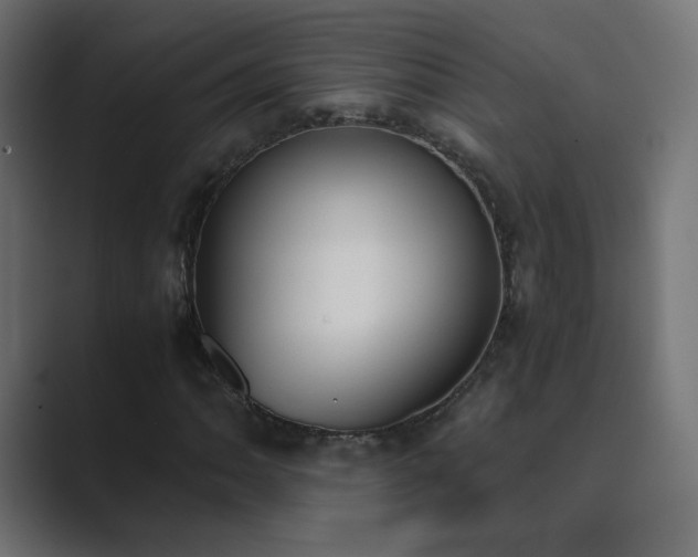 X0000089831062200706281207