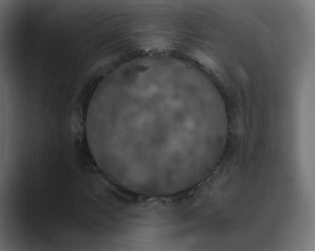 X0000089831063200706281207