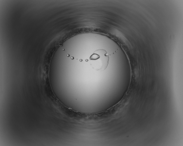 X0000089831064200706281207