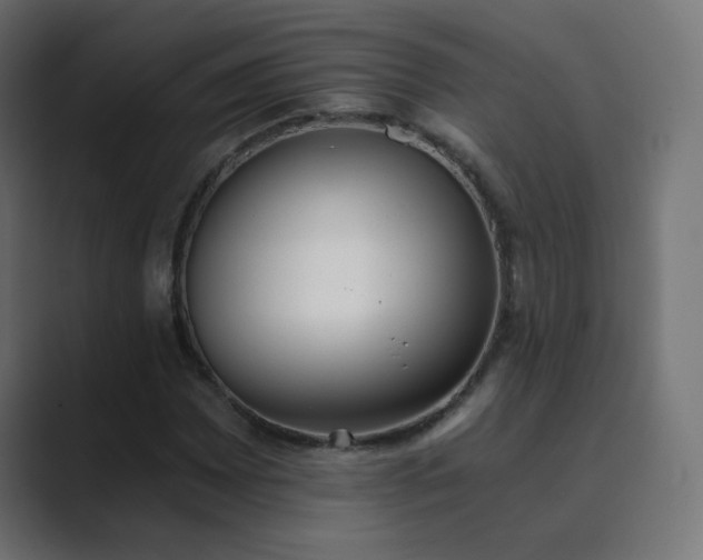 X0000089831065200706281207