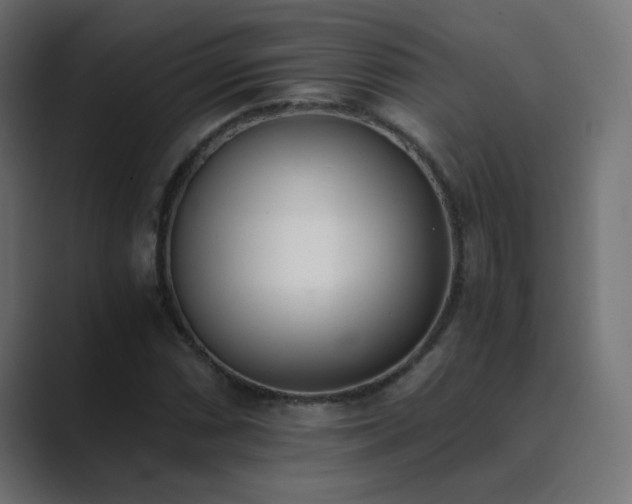 X0000089831066200706281207