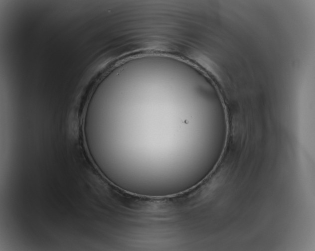 X0000089831067200706281207