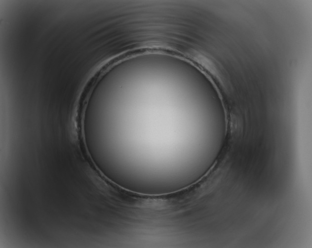 X0000089831068200706281207