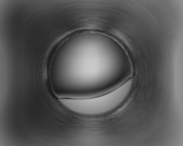 X0000089831069200706281207