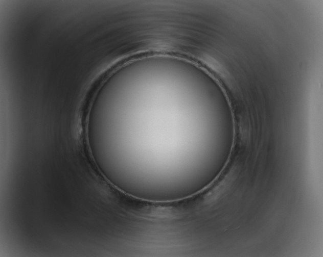 X0000089831070200706281207
