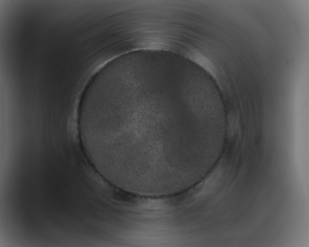 X0000089831071200706281207