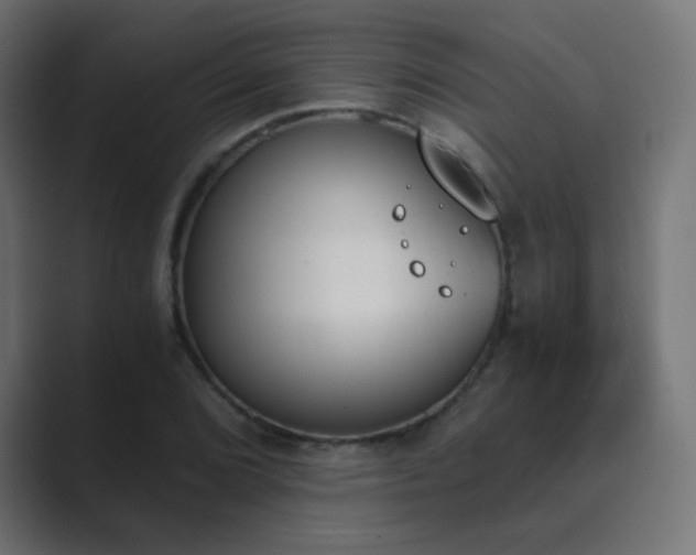 X0000089831072200706281207