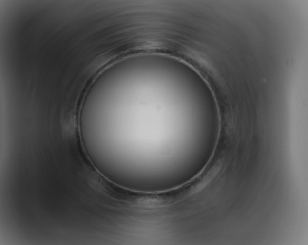 X0000089831073200706281207