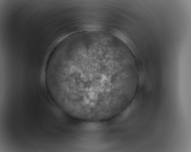 X0000089831074200706281207