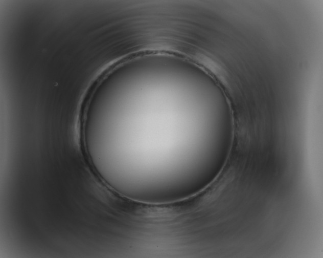 X0000089831076200706281207