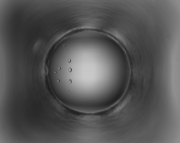 X0000089831077200706281207